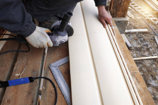 Best Steel Siding Installation  in Madison, SD